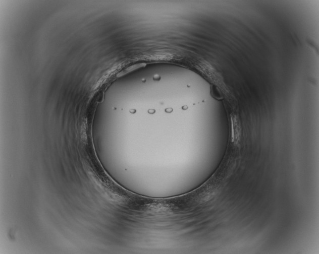 X0000101230300200807111127