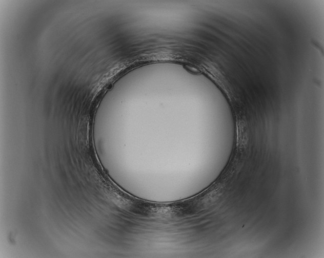 X0000101230301200807111127