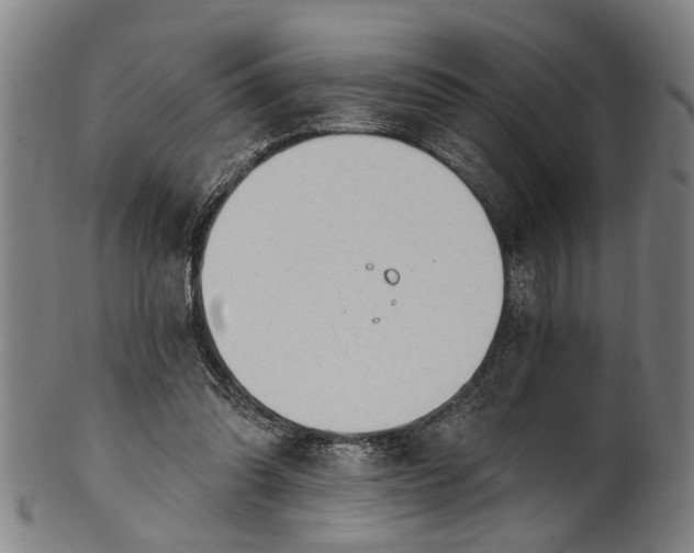 X0000101230302200807111127