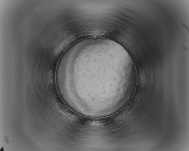 X0000101230303200807111127