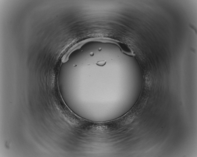 X0000101230304200807111127