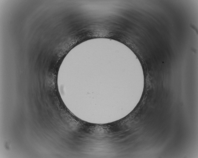 X0000101230305200807111127