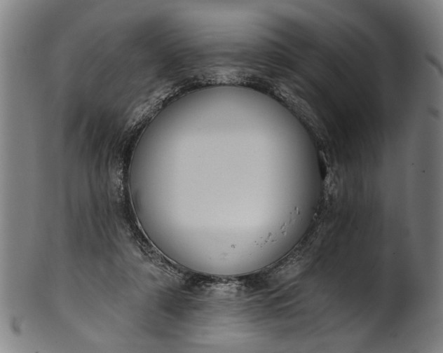 X0000101230306200807111127