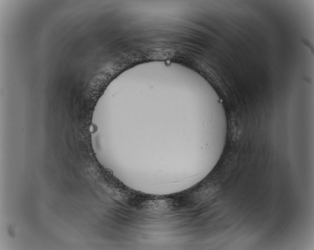 X0000101230307200807111126