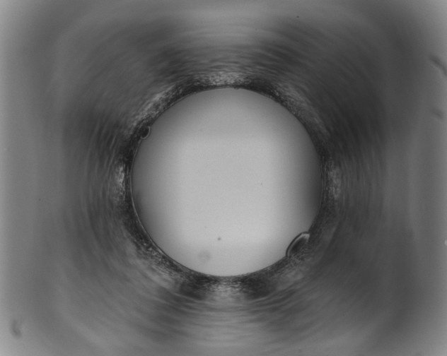 X0000101230308200807111126