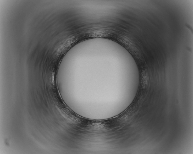 X0000101230310200807111126