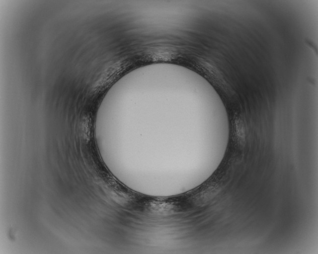 X0000101230311200807111126