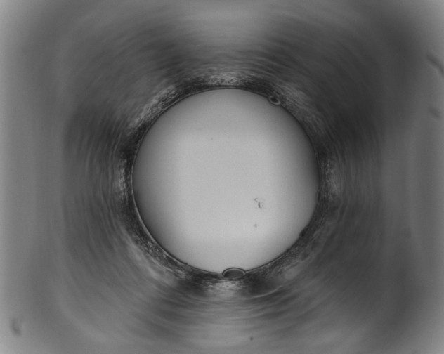 X0000101230312200807111126