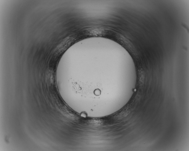 X0000101230313200807111126