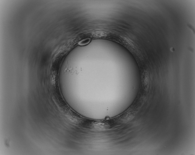 X0000101230315200807111126