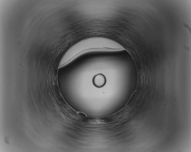 X0000101230316200807111126