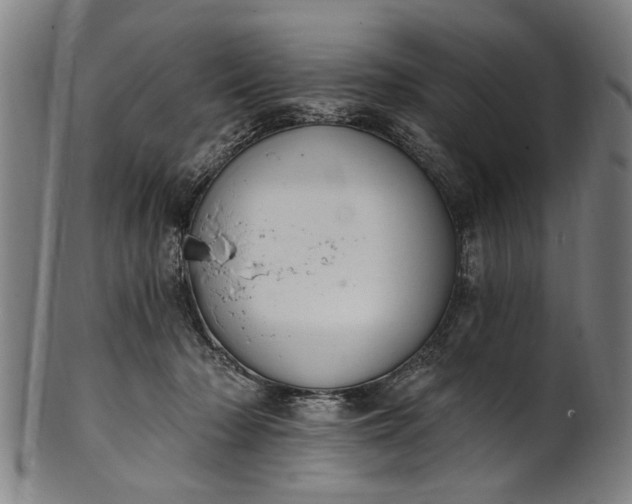 X0000101230318200807111126