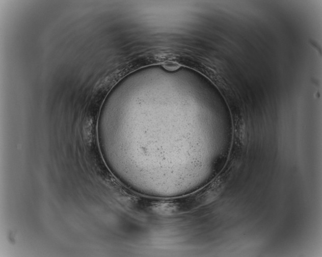 X0000101230319200807111126