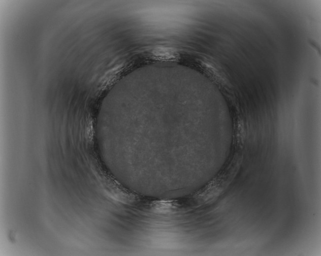 X0000101230320200807111126