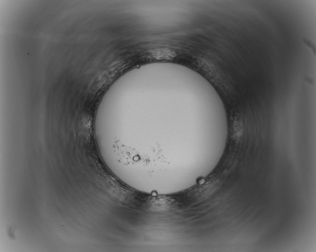 X0000101230321200807111126