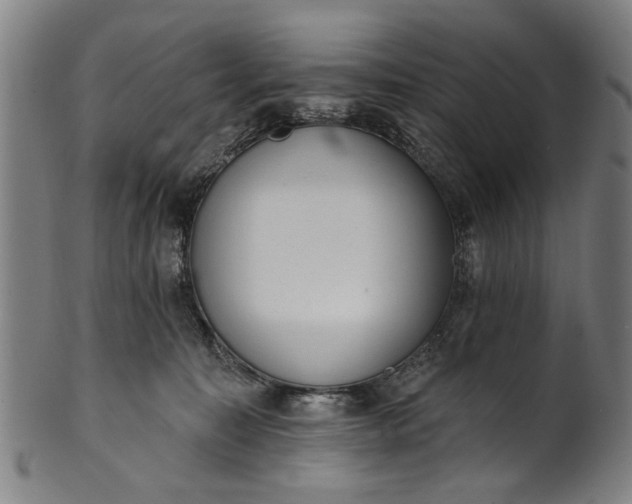 X0000101230323200807111126