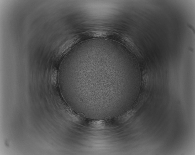 X0000101230325200807111126