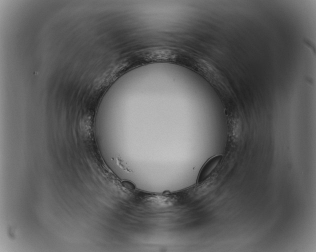 X0000101230326200807111126