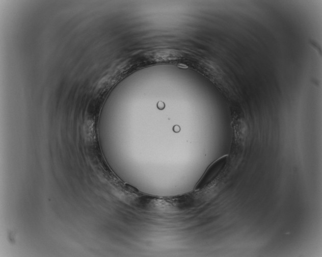 X0000101230327200807111126