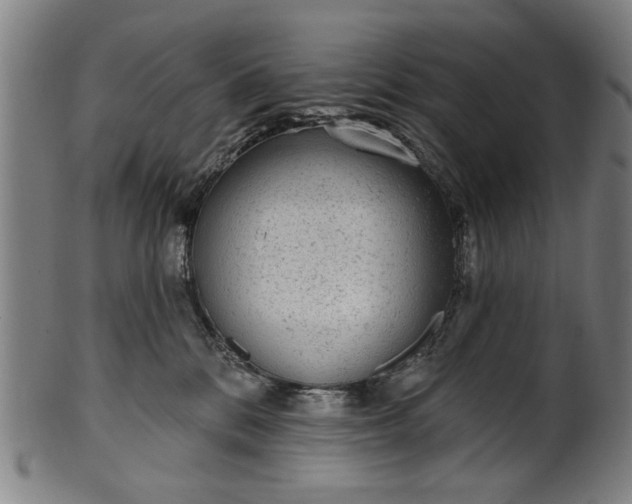 X0000101230328200807111126