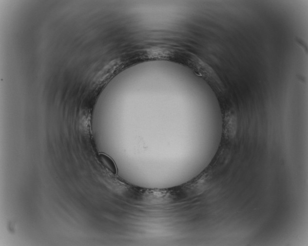 X0000101230329200807111126