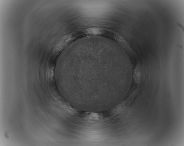 X0000101230330200807111126