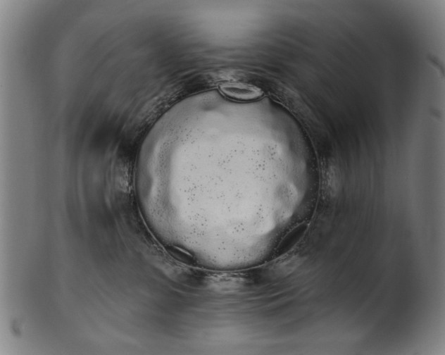 X0000101230331200807111126