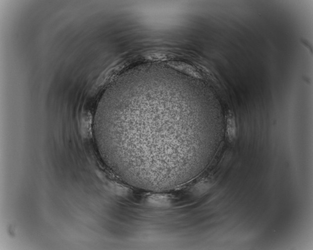 X0000101230332200807111126