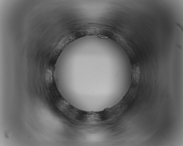 X0000101230333200807111126