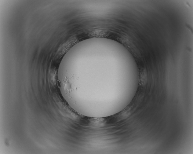 X0000101230334200807111126