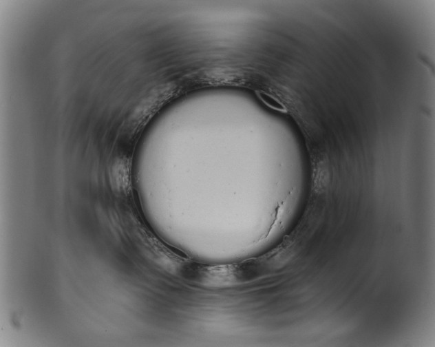 X0000101230335200807111126