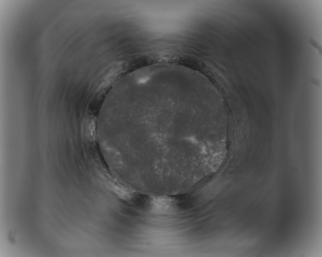 X0000101230336200807111126