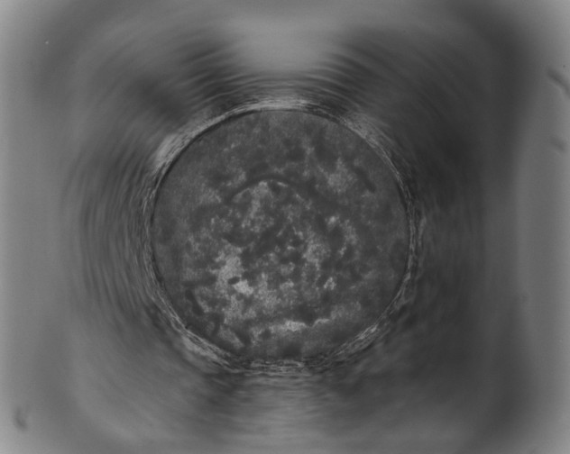 X0000101230337200807111125