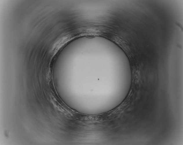 X0000101230338200807111125