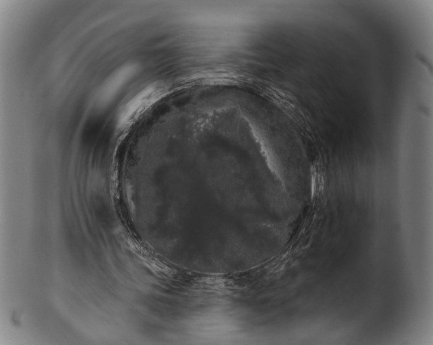 X0000101230339200807111125