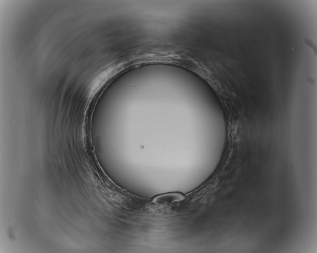 X0000101230340200807111125