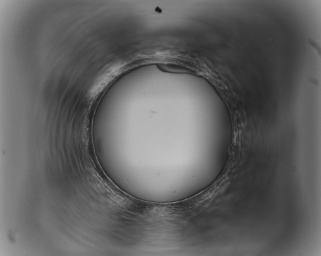 X0000101230341200807111125