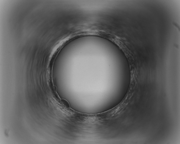 X0000101230342200807111125