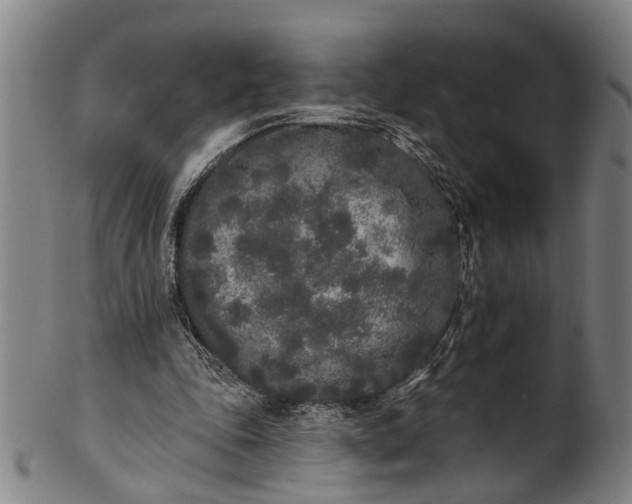 X0000101230343200807111125