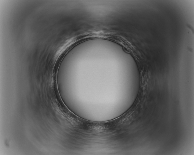 X0000101230344200807111125