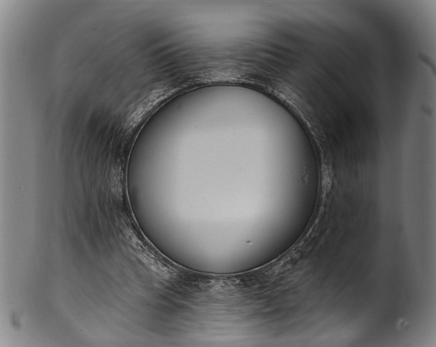 X0000101230345200807111125