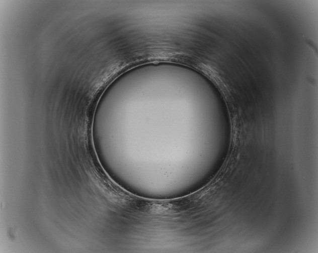 X0000101230346200807111125