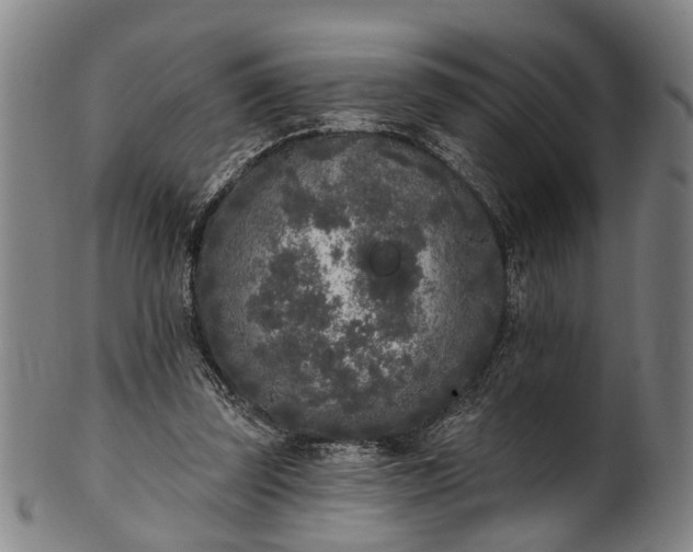 X0000101230347200807111125