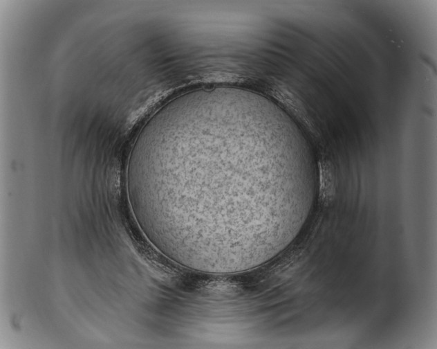 X0000101230348200807111125