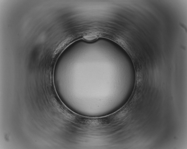 X0000101230349200807111125