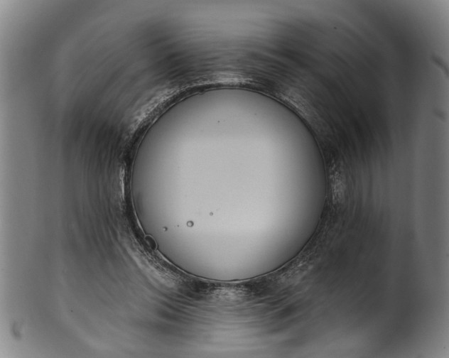 X0000101230350200807111125