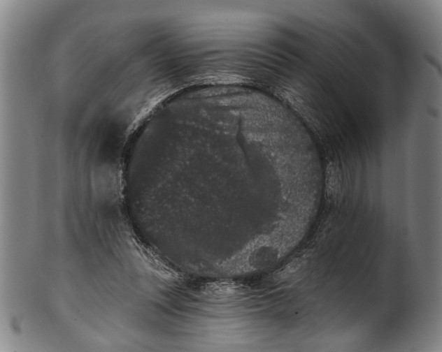 X0000101230351200807111125