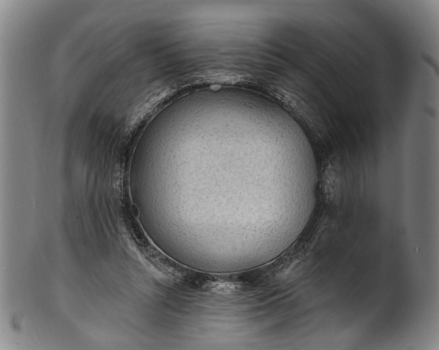 X0000101230352200807111125