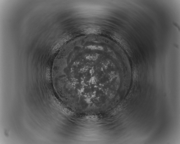 X0000101230353200807111125