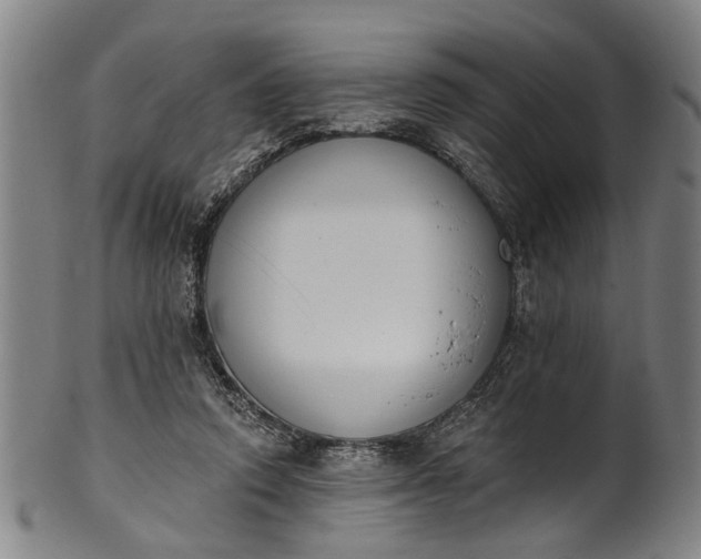 X0000101230354200807111125